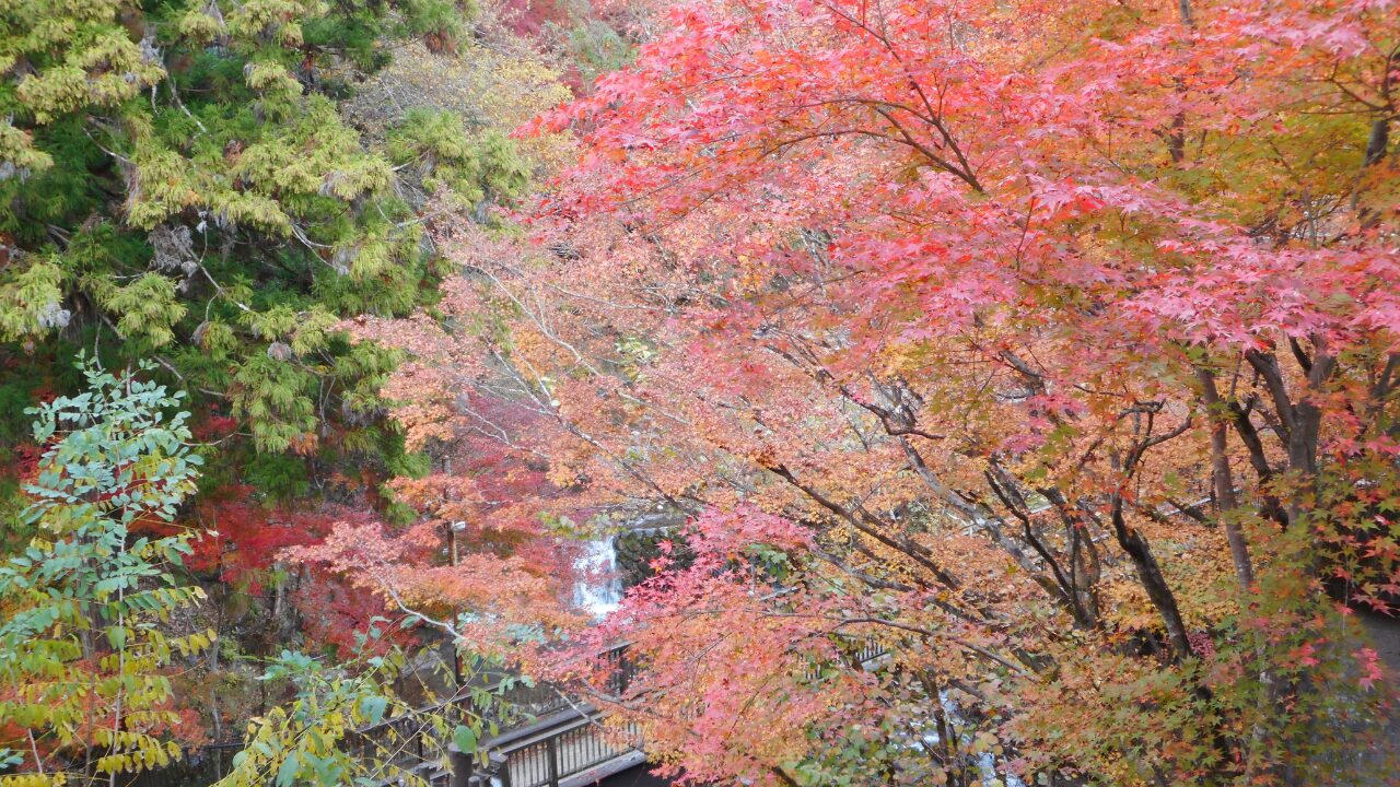 京の奥座敷『貴船・鞍馬』めぐり│おすすめ情報